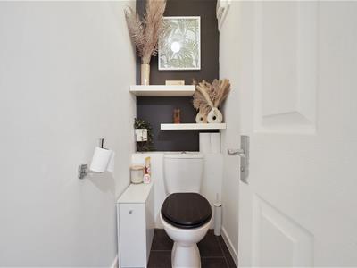 Picture 14